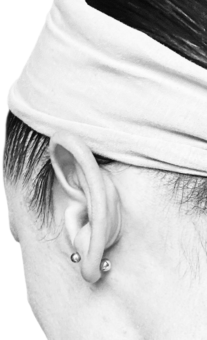 Double Ball Stud Earrings